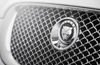 2010 Jaguar XFR Grille Picture